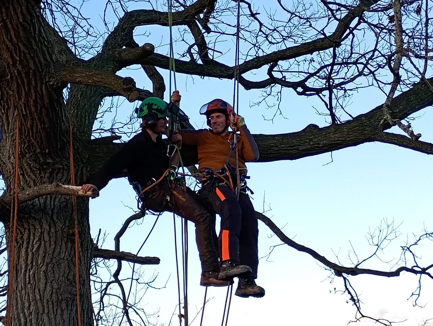 Ashfella tree surgery work in a Stroud garden